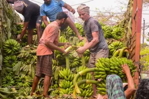 सूरत : मिडिल ईस्ट तनाव का असर: सूरत के फ्रूट मार्केट में संकट, इंपोर्ट-एक्सपोर्ट ठप