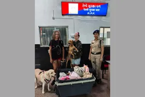 वडोदरा : रेल सुरक्षा बल की ईमानदारी और तत्परता से विदेशी यात्री के चेहरे पर लौटी मुस्कान