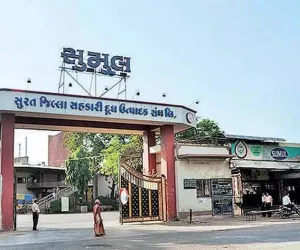 सूरत में दूध महंगा, अमूल के बाद सुमुल डेयरी ने भी बढ़ाए दाम