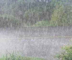 सूरत : समुद्र में बने दबाव से हुई बारिश बनी वेडिंग सीज़न की सबसे बड़ी चुनौती