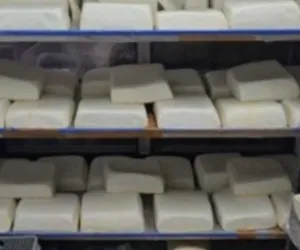 सूरत : सुरभि डेयरी से नकली पनीर जब्त, स्वास्थ्य विभाग की बड़ी कार्रवाई, शहरभर की डेयरियों में मचा हड़कंप