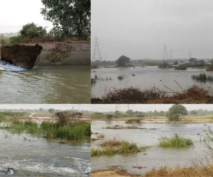 सूरत : उकाई राइट बैंक कैनाल टूटने पर मचा हड़कंप, किसानों के मुआवजे और जांच की मांग तेज