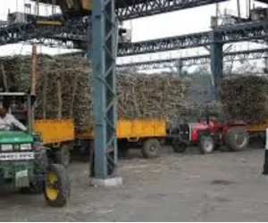 सूरत : दक्षिण गुजरात की शुगर मिलों ने बढ़ाए गन्ने के दाम, चलथान शुगर ने किया सबसे बड़ा इजाफा