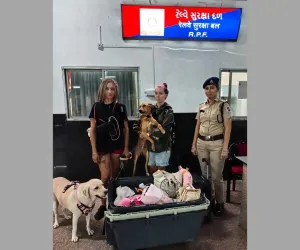 वडोदरा : रेल सुरक्षा बल की ईमानदारी और तत्परता से विदेशी यात्री के चेहरे पर लौटी मुस्कान