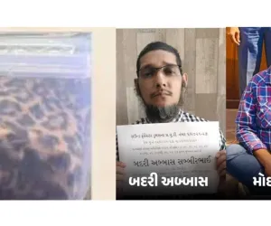 सूरत : तेंदुए की खाल का एक करोड़ रुपये में सौदा तय, DRI और वन विभाग की संयुक्त कार्रवाई में रैकेट का पर्दाफाश