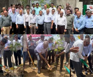 सूरत : पर्यावरण संरक्षण में पांडेसरा GIDC ने पेश की मिसाल, विश्व पर्यावरण दिवस पर लगाए 1,650 पौधे, 80 MLD ट्रीटेड पानी का हो रहा री-यूज़