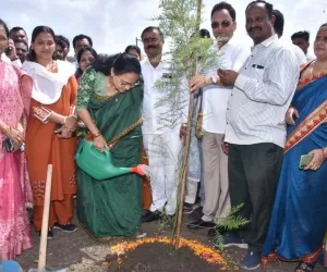 सूरत : विश्व पर्यावरण दिवस पर भेस्तान में विकसित शहरी वन में 8,000 पौधों का रोपण