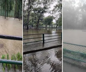 सूरत :भारी बारिश के बीच भी नेचर पार्क पहुंच गए 55 पर्यटक, सुरक्षा के लिए जानवरों को नाइट शेल्टर में किया गया शिफ्ट