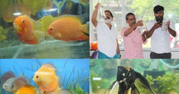Ornamental fish business flourishing in Kerala post Covid!  ,  Loktej business, out of the way, Regional News